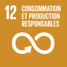 UN Sustainable Development Goal No.12 Responsible Consumption And Production